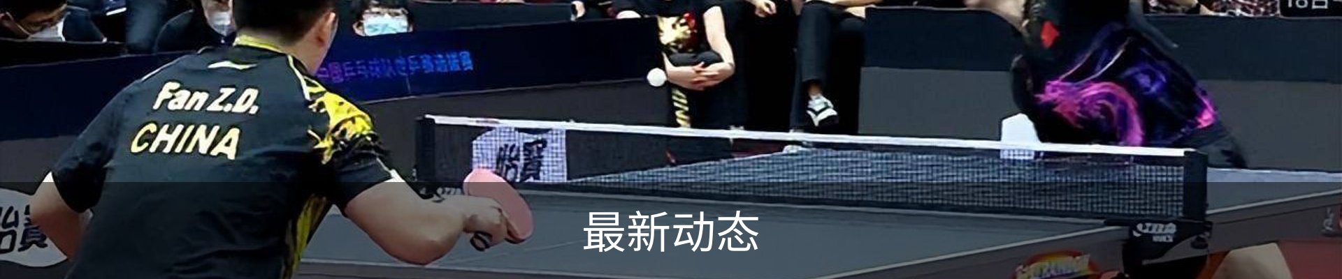 最新动态